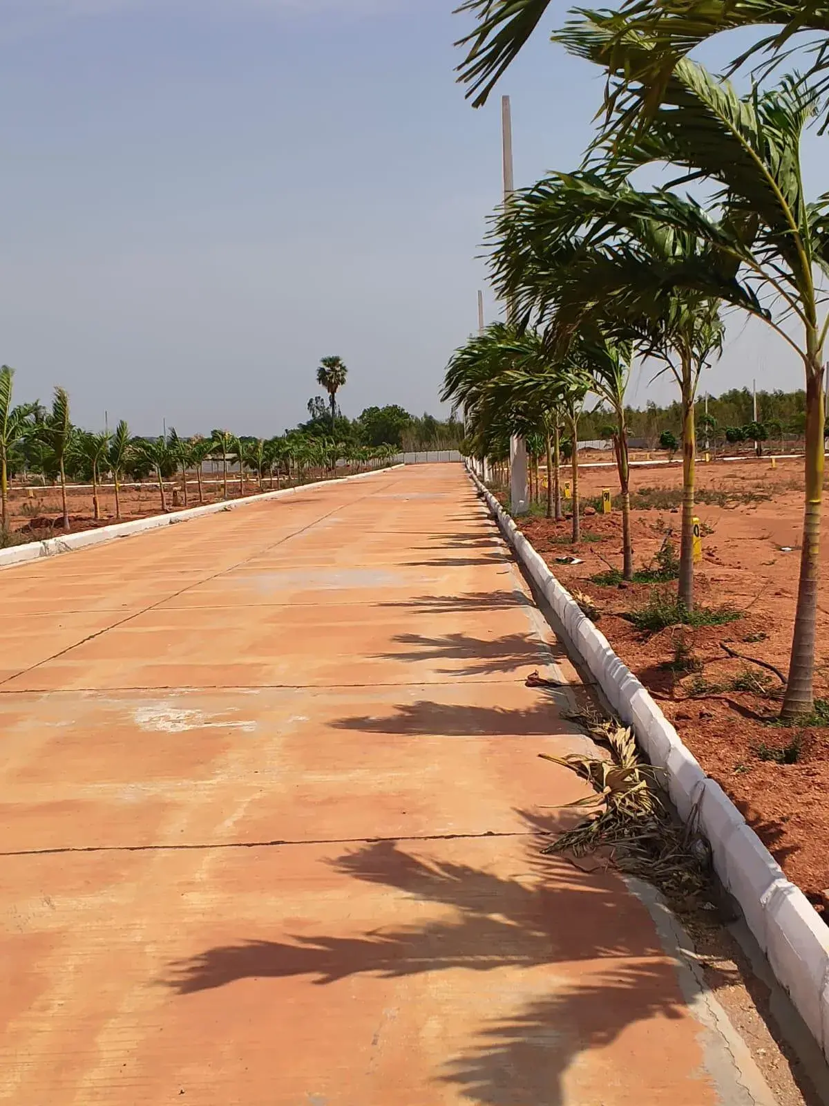 Sri Suvarnagari Township photo 7