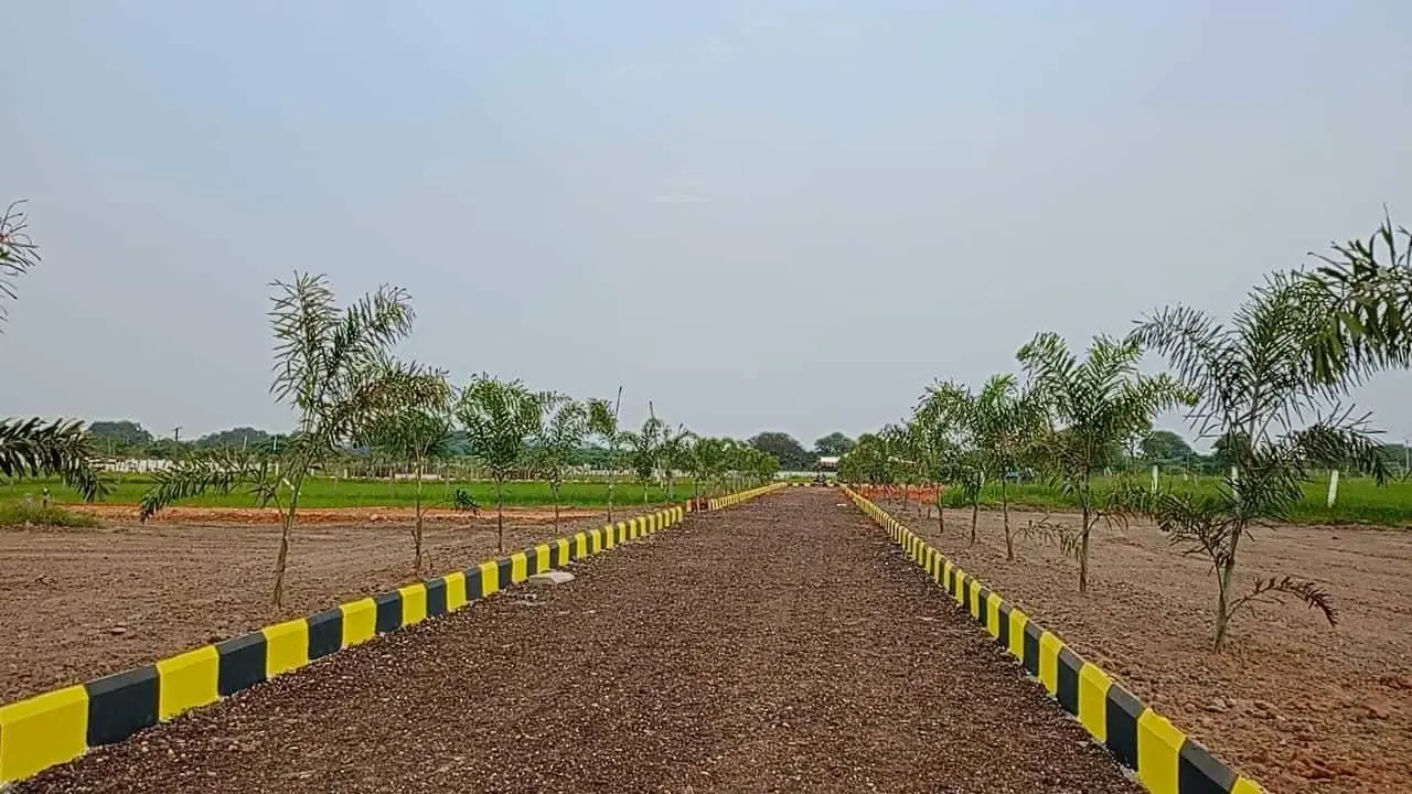 Sunrise Nature Farms