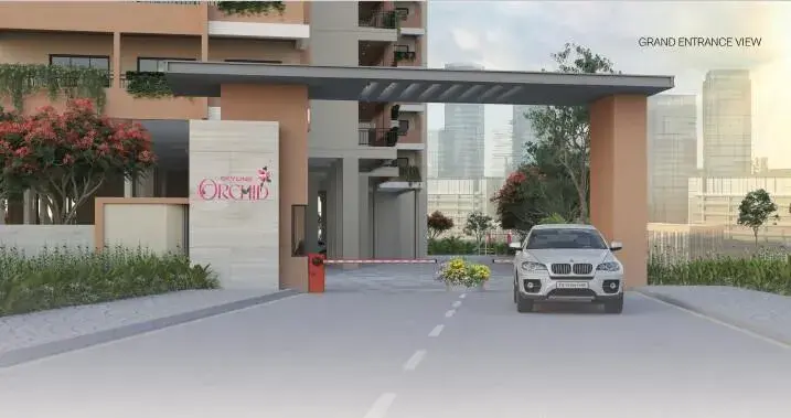 SV Skyline Orchid image 2