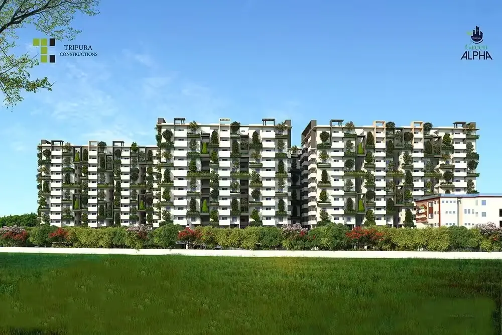 Tripura Green Alpha photo 6
