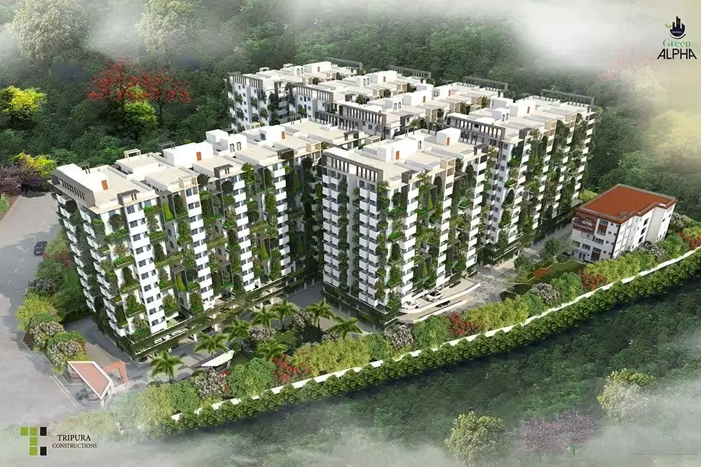 Tripura Green Alpha photo 7