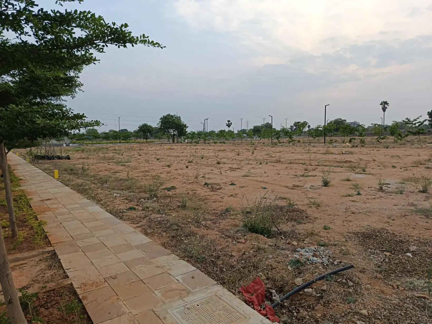 Vertex District