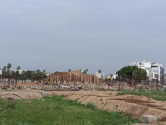 Vessella Palms