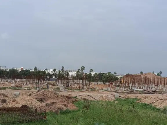 Vessella Palms