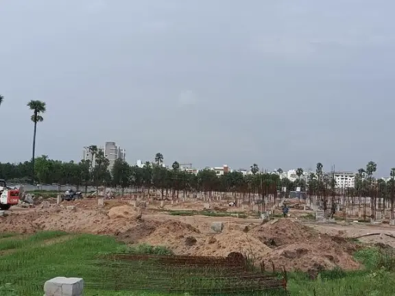 Vessella Palms